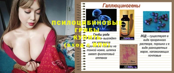 соль курить ск Козловка