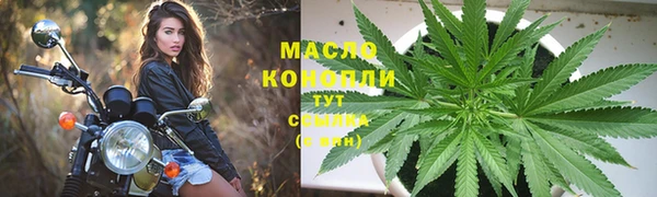 дмт Кодинск