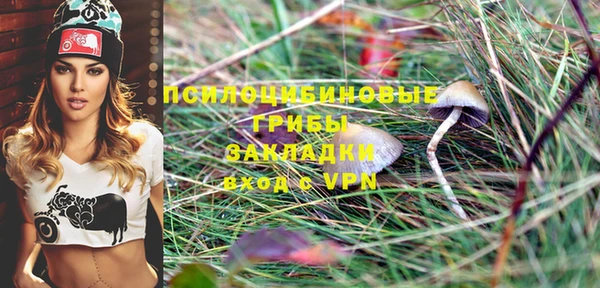 соль курить ск Козловка